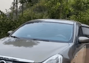 J1211002 遇险自救虎口脱险 #严厉打击违法犯罪 #正能量剧情 #正能量 #万万没想到 #弘扬正能量 #记录我的农村生活 part2