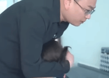 L1211001 不孝兒子狠心趕走親媽 誰料她包裏竟藏着80萬 下一秒兒子臉都變了 #劇情 #微電影 #短片 part2