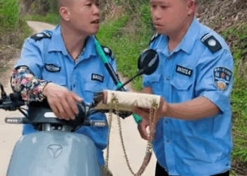 J1411001 #万万没想到 #沙雕剧情 #严厉打击违法犯罪 #搞笑 #正能量剧情 #农村生活 #comedy #funny part2