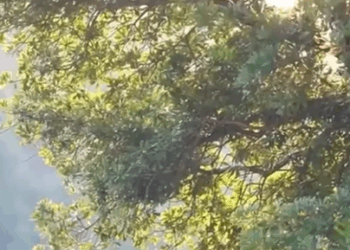 G0112002 儿媳在家吃苦受罪 娘家人找上门 婆婆脸色顿时黑了 part2