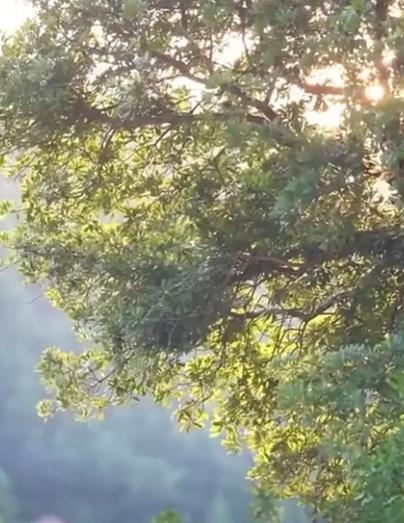 G0112002 儿媳在家吃苦受罪 娘家人找上门 婆婆脸色顿时黑了 part2