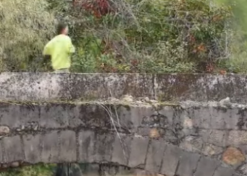 F1612004 不孝兒子揚言要把親孃趕出家門 沒想到兒媳聽完怒了 當場做出驚人之舉 part2