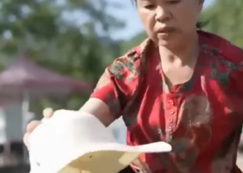 F2812005 農村媳婦當牛做馬伺候婆婆 誰料大哥一進門就對她大呼小叫 婆婆一句話當場讓兒子無地自容 part2