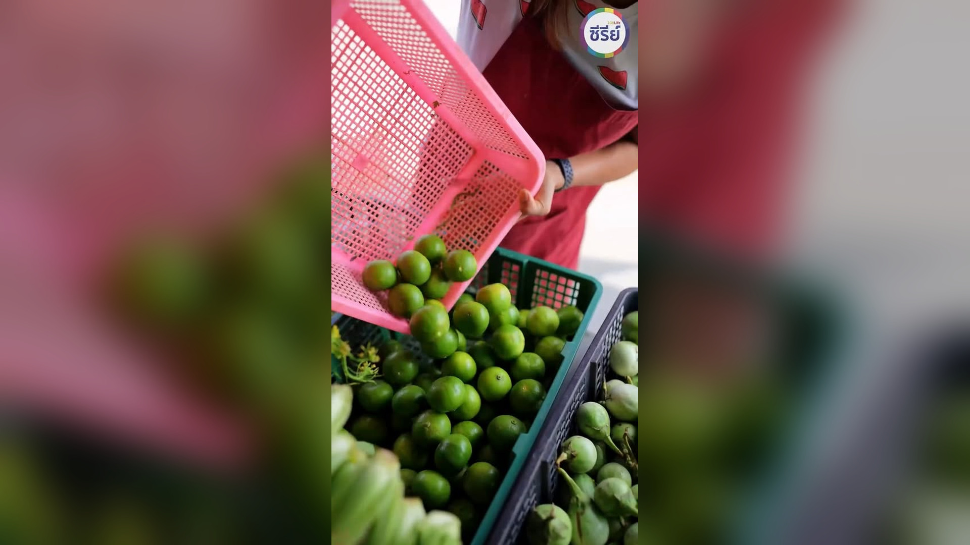 B1803083_เธอก แค จท ดใช อมาขนมะนาว แต บนล กมะนาวกล_part2.mp4