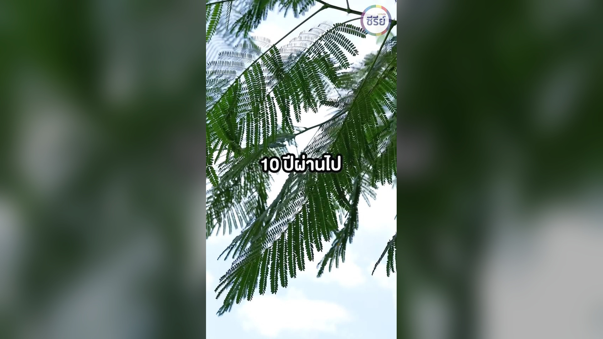 B1803013_หน เข นโลงแม เพ อเร ยกร องความถ กต อง_part2.mp4